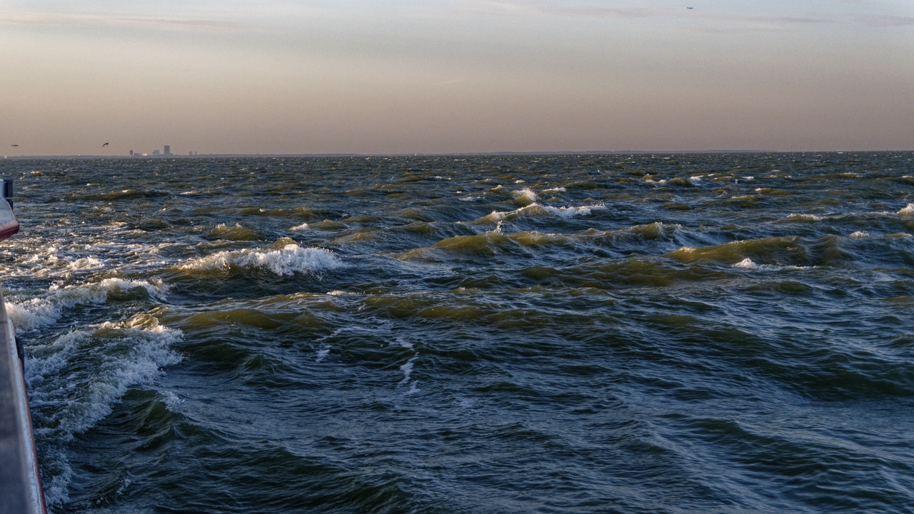 20140417 071551•Hoorn•North Holland•Netherlands